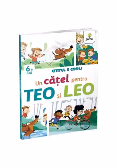 Un catel pentru Teo si Leo