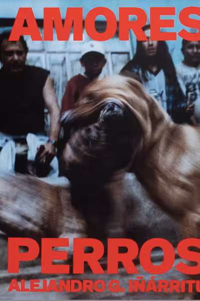 Amores Perros