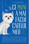 Ce pozne-a mai facut catelul meu