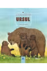 URSUL- Animale salbatice în natura