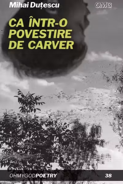 Ca intr-o povestire de Carver
