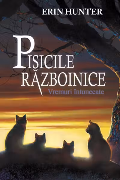 Pisicile razboinice vol. 6 Vremuri intunecate