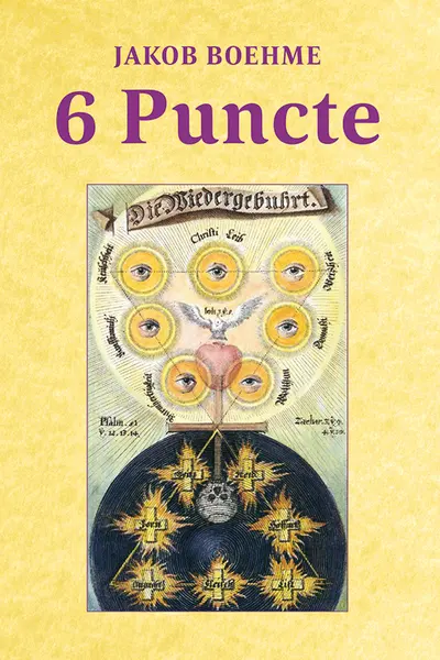6 Puncte