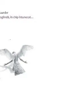 Ca intr-o oglinda, in chip intunecat
