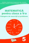 Matematica - Clasa 5 - Culegere de exercitii si probleme