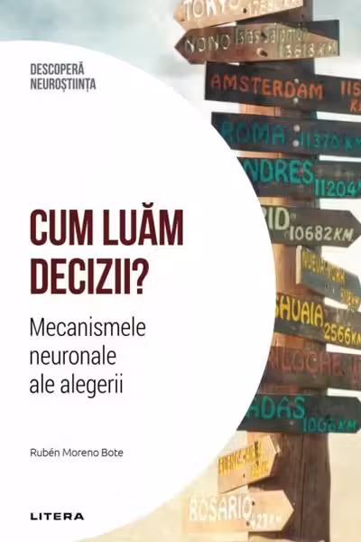 Cum luam decizii
