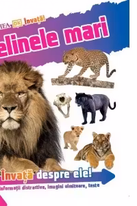 Invata! Felinele mari. Informatii distractive, imagini uimitoare, teste