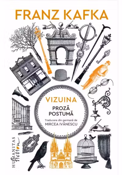 Vizuina