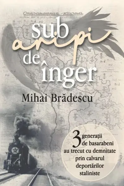 Sub aripi de inger