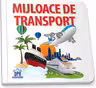 Mijloace de transport. Carte pliata