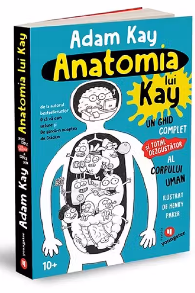 Anatomia lui Kay