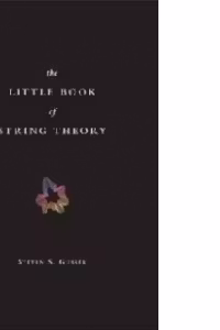 Little Book Of String Theory