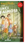 Cei cinci faimosi #2. Cei cinci si pasajul secret