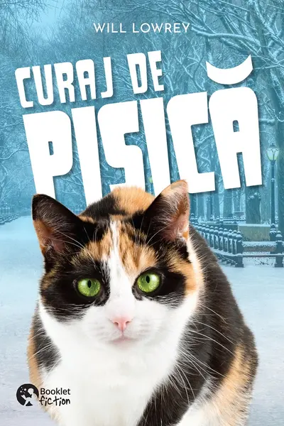 Curaj de pisica