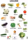 Plansa Legume