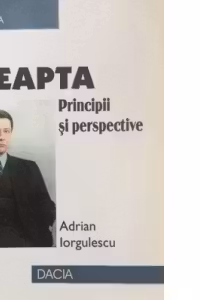 Dreapta principii si perspective