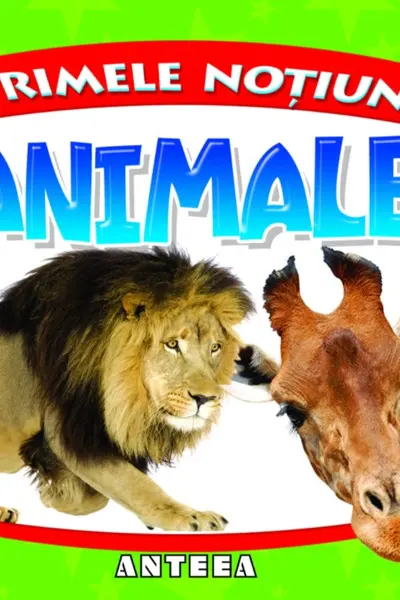 Primele noțiuni: Animale