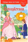CENUSAREASA. Poveste cu pictograme. Nivelul 1.