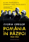 Istoria orbilor